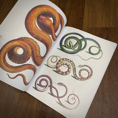 Tattoo Flash Collective digital books Snakes ebook